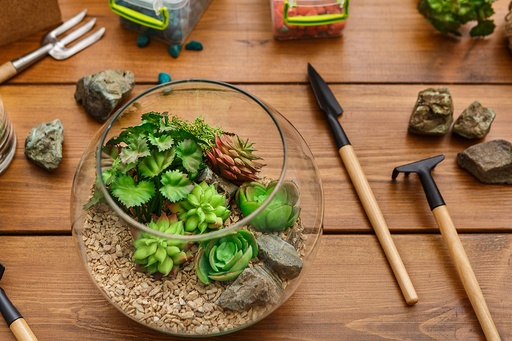 Terrarium Healing Workshop: Create Your Mini Ecosystem
