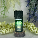 Life Inspiration Turmeric Massage Oil Blend