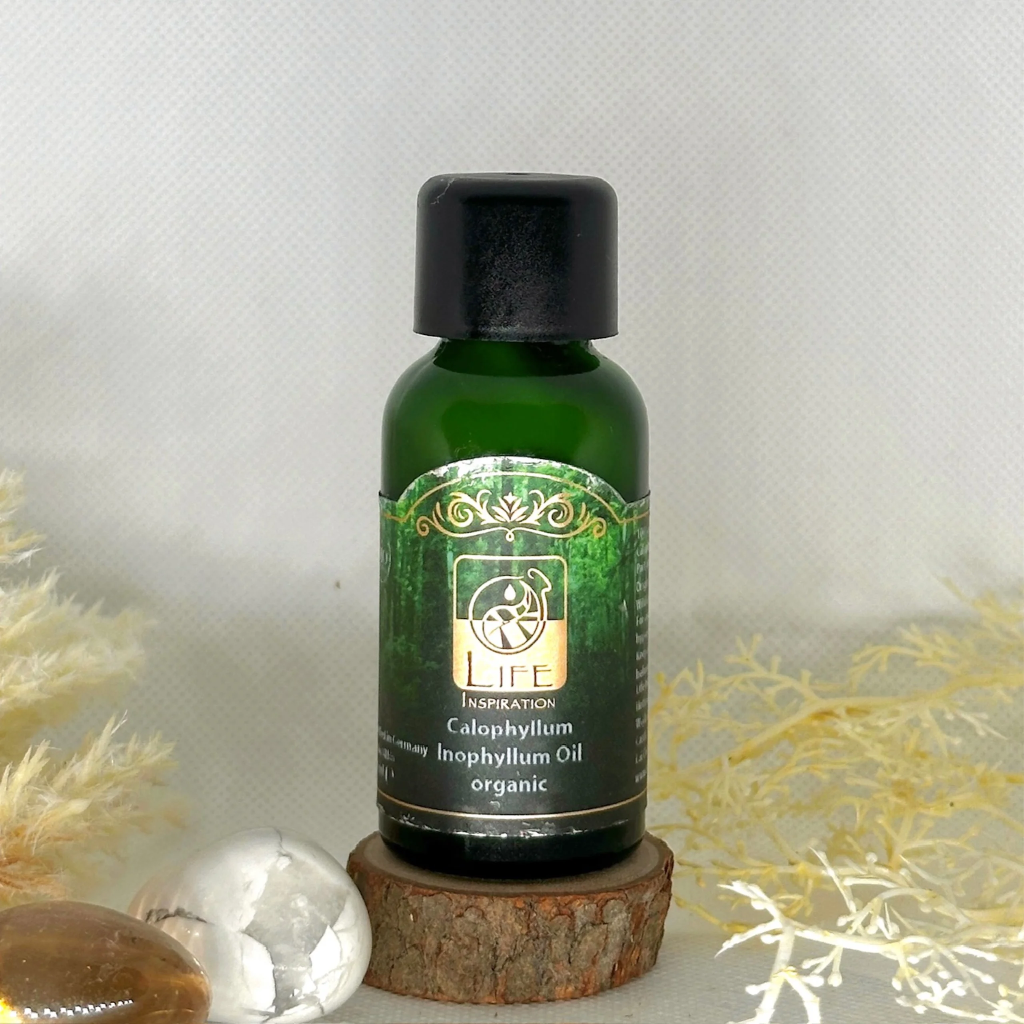 Life Inspiration Calophyllum Inophyllum Oil Organic