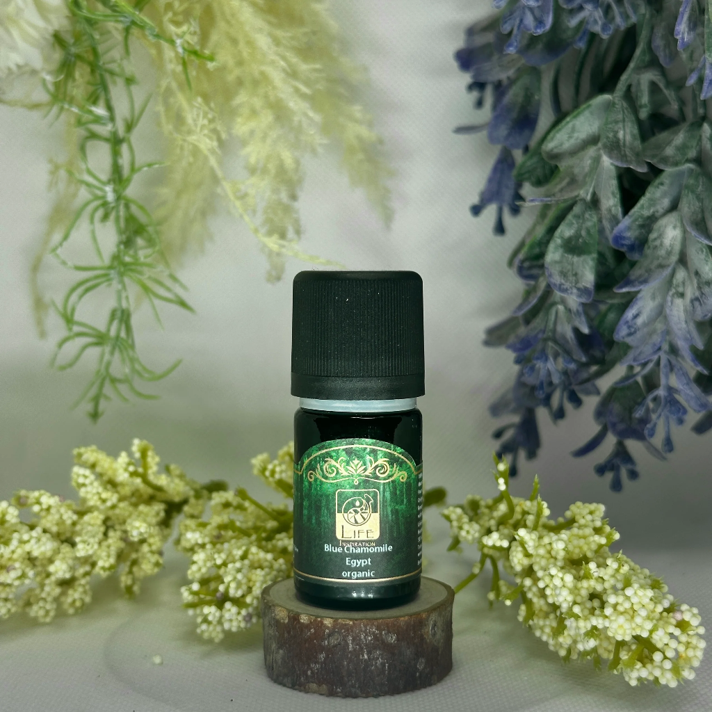 Life Inspiration - Blue Chamomile, Egypt Organic