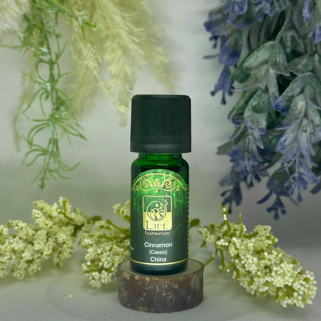 Life Inspiration - Cinnamon (Cassia)