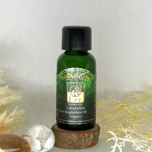 Life Inspiration Calophyllum Inophyllum Oil Organic