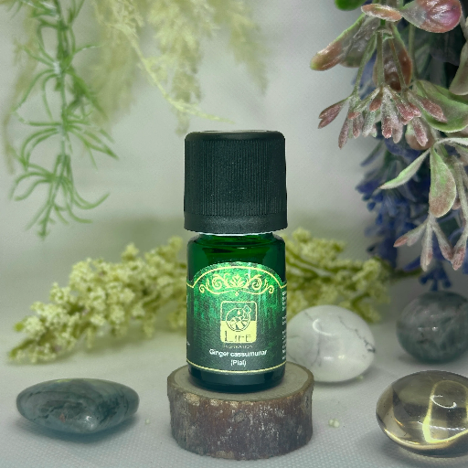 Life Inspiration - Ginger Cassumunar (Plai)