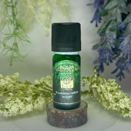 Life Inspiration - Eucalyptus Radiata Organic