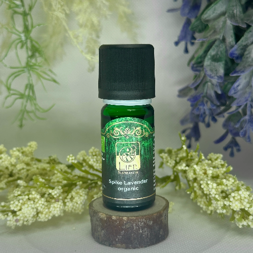 Life Inspiration - Lavender (Spike Lavender), Organic